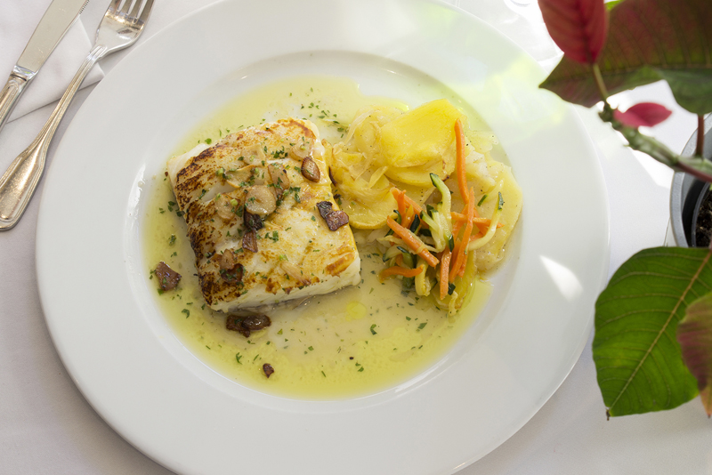 Bacalao