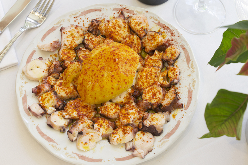 Pulpo